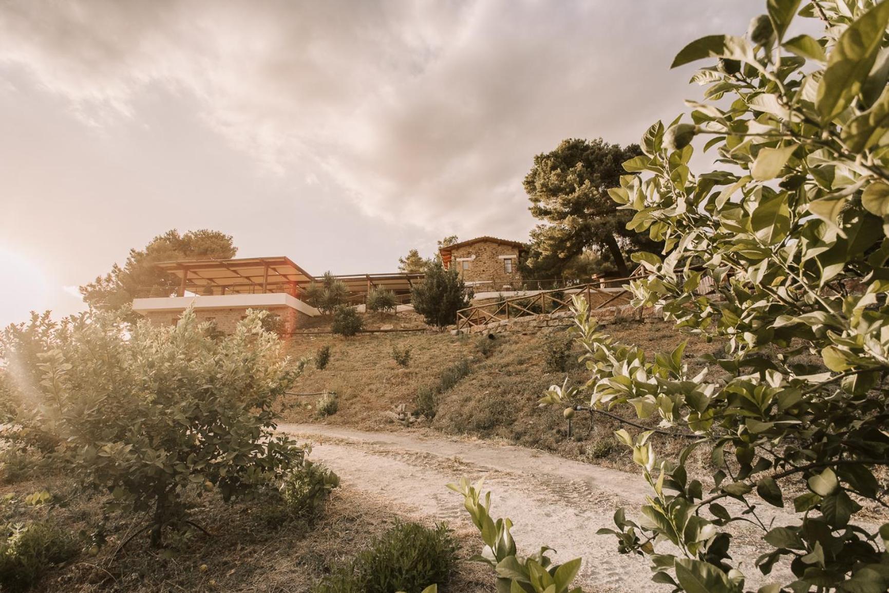Casale 700 Bed & Breakfast Amendolara Exterior photo